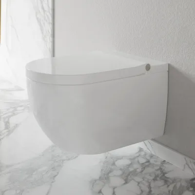 Aqualux PAX2-R Duschtoilet - LuxDusch bidétfunktion & soft-close sæde